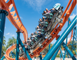 SeaWorld Multi Park - Three Day Ticket